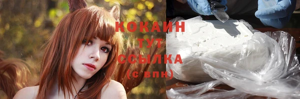 прущие грибы Баксан