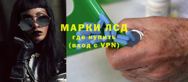 прущие грибы Баксан