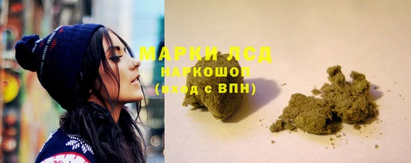 прущие грибы Баксан