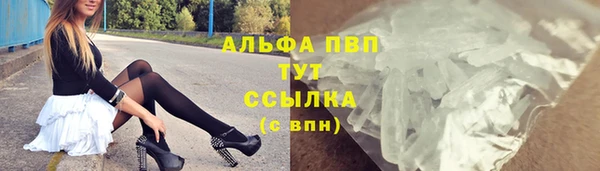 прущие грибы Баксан