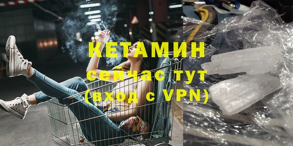 прущие грибы Баксан