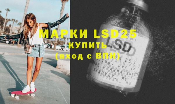 прущие грибы Баксан